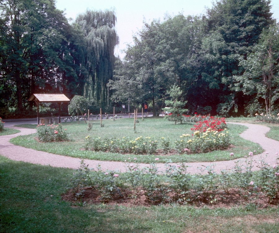 Rosengarten 12